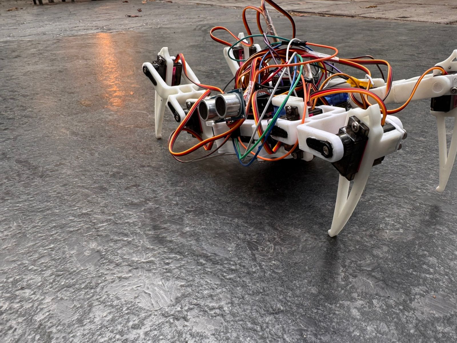Spider Quadruped